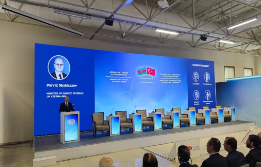 Nazir: Azərbaycan-Türkiyə enerji əməkdaşlığı gələcək təhlükəsizliyin rəmzi, Naxçıvan isə yaşıl enerji mərkəzi olacaq - FOTO 