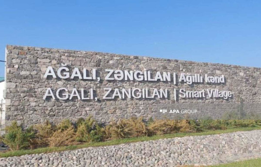 Ağalıda ağacəkmə kampaniyası keçirilib