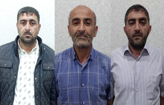 Lənkəranda mal-qara oğurluğu edən şəxslər saxlanılıb