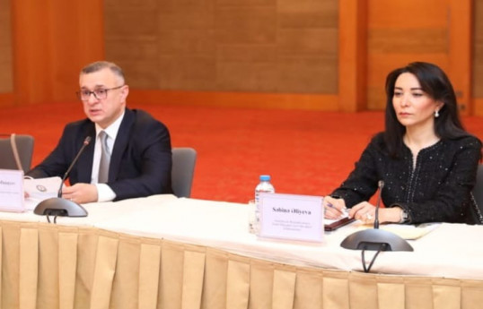 Nazir: Psixi sağlamlıq üzrə Milli Strategiyanın hazırlanması gələcəyə yönəlik planımızdır