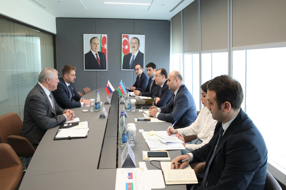 Slovakiya şirkətlərinin azad edilmiş ərazilərdə fəaliyyətinə dair müzakirələr aparılıb
