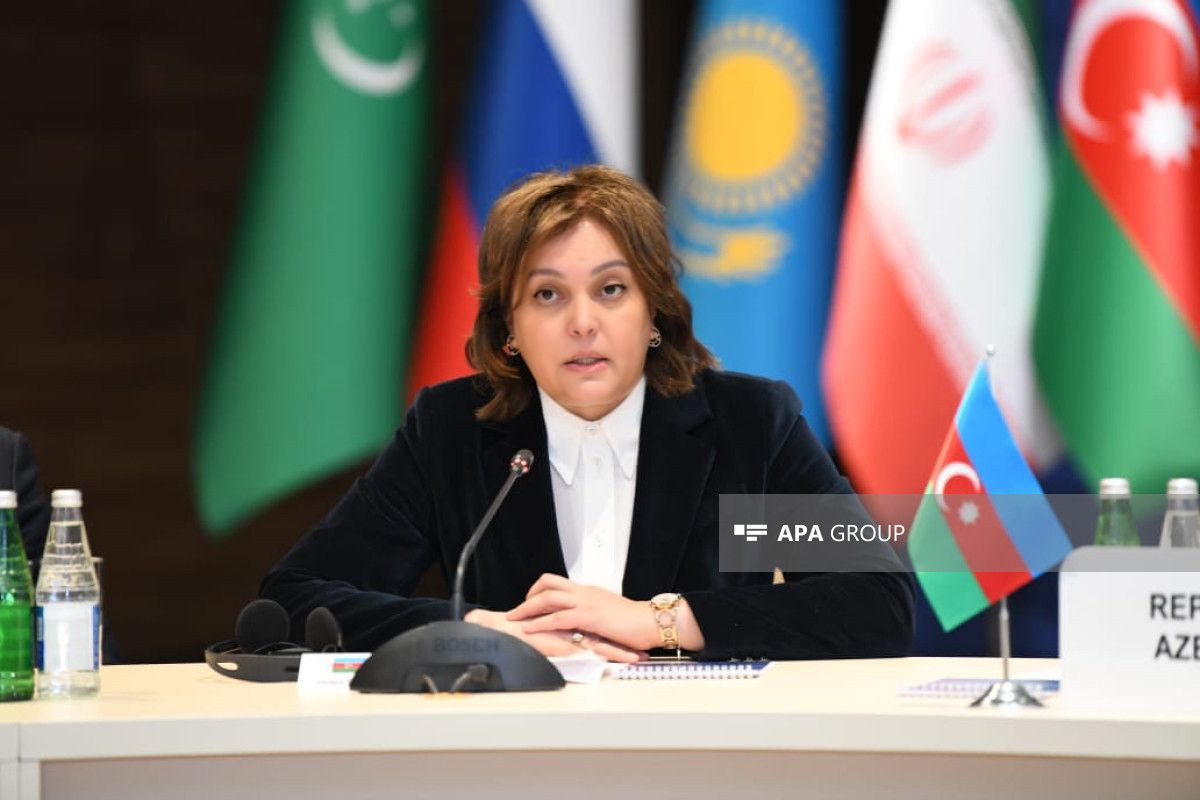 Umayra Tağıyeva: COP29-da Xəzərdəki ekoloji dəyişiklik problemləri mühüm yer tutacaq