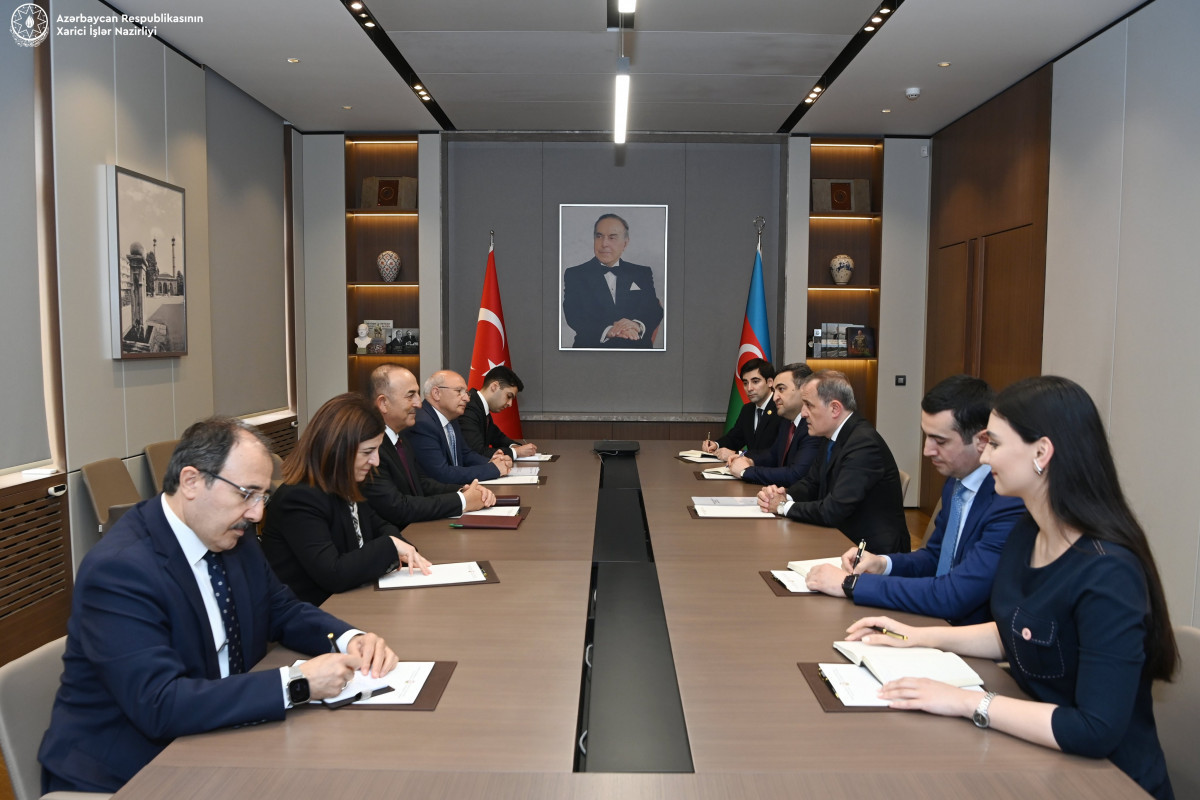 Azerbaijani FM and Head of Turkish Delegation to NATO PA mull regional situation-<span class="red_color">UPDATED