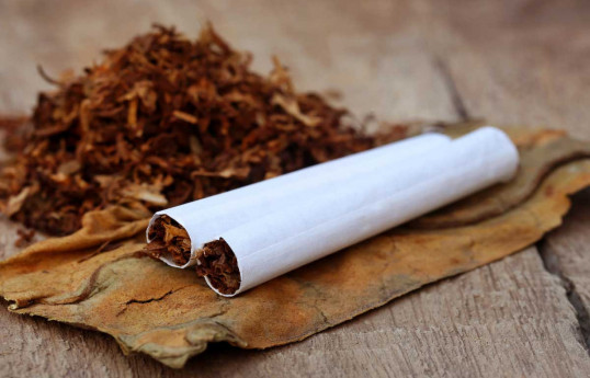 Tütün məmulatının istehsalı üçün 34 milyon manatdan az olmayan investisiya tələbi olacaq