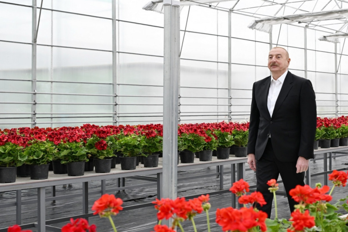 Prezident Gəncədə Ekoloji Park Kompleksinin tikintisi ilə tanış olub - YENİLƏNİB 