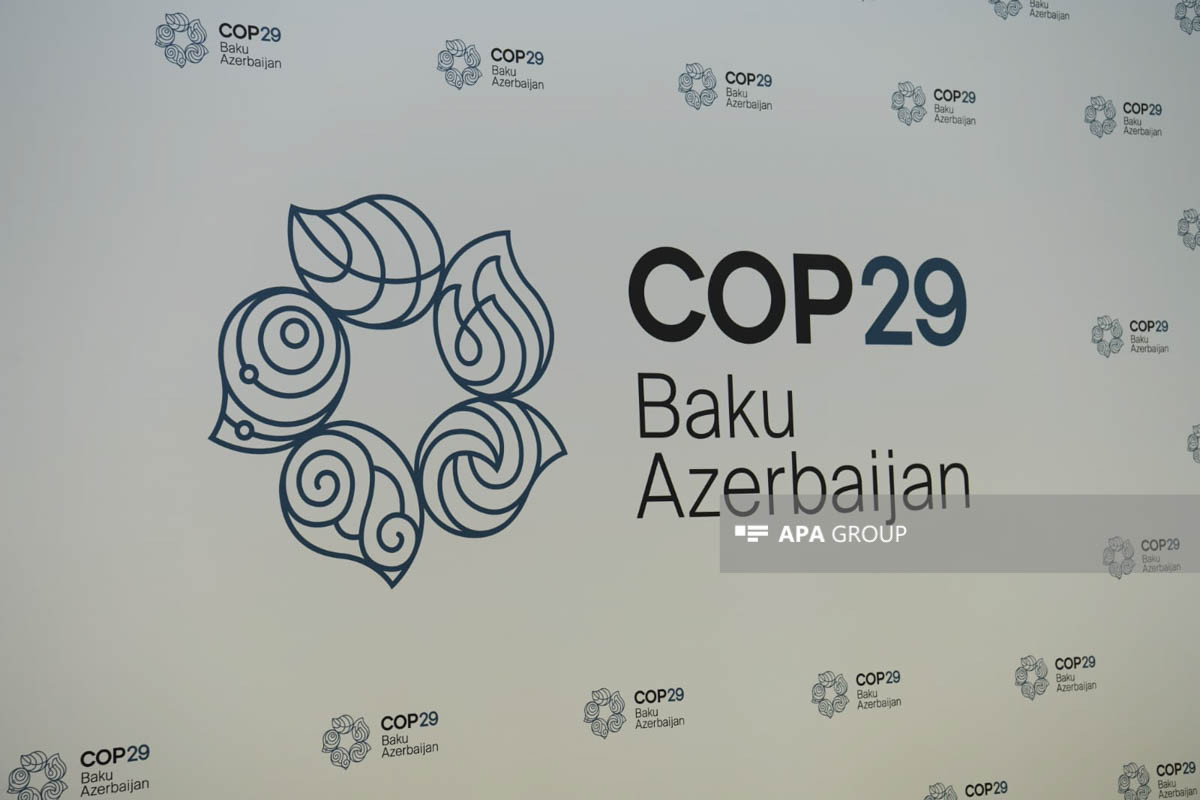 COP29-un loqosu təqdim olunub