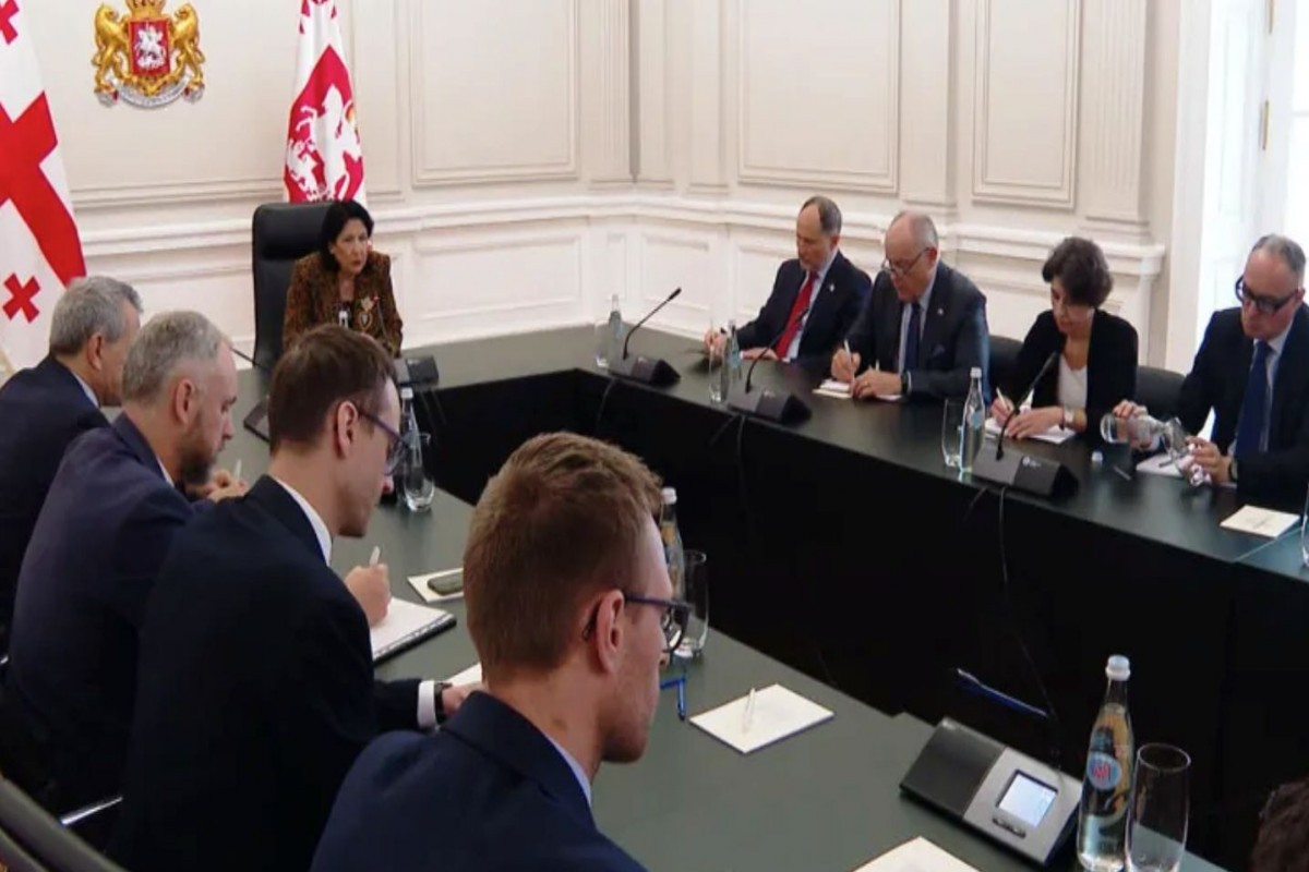 Послы стран ЕС встретились с президентом Грузии для обсуждения ситуации в стране