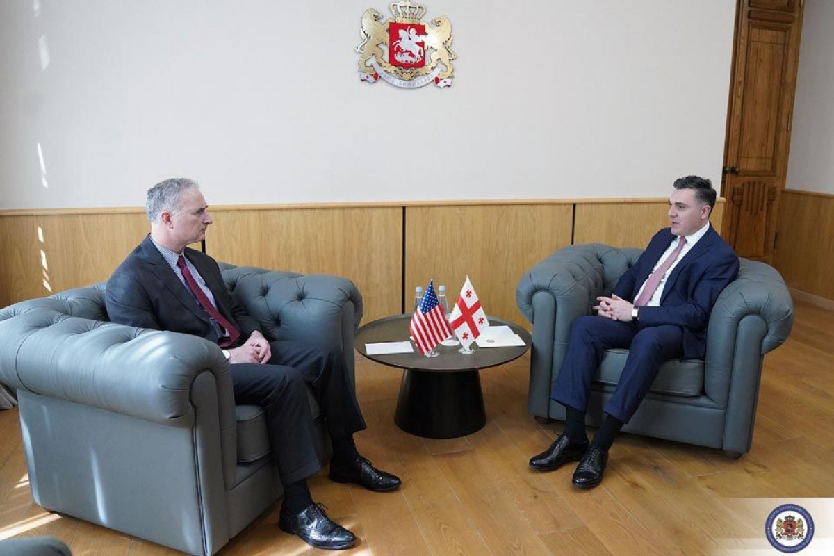 Главный советник США по переговорам на Кавказе встретился с главой МИД Грузии