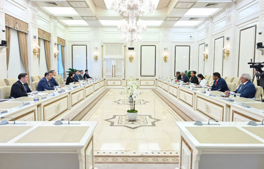 Sahibə Qafarova: Fransa kolonializmi Cənubi Qafqazda davam etdirmək niyyətindədir