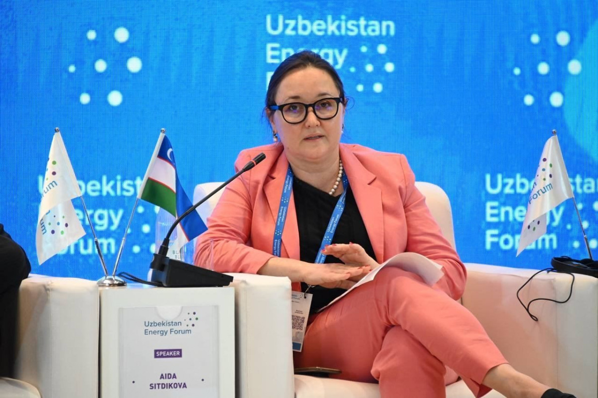 Director of Energy and Natural Resources for Russia, the Caucasus, and Central Asia at the the European Bank for Reconstruction and Development (EBRD) Aida Sitdikova