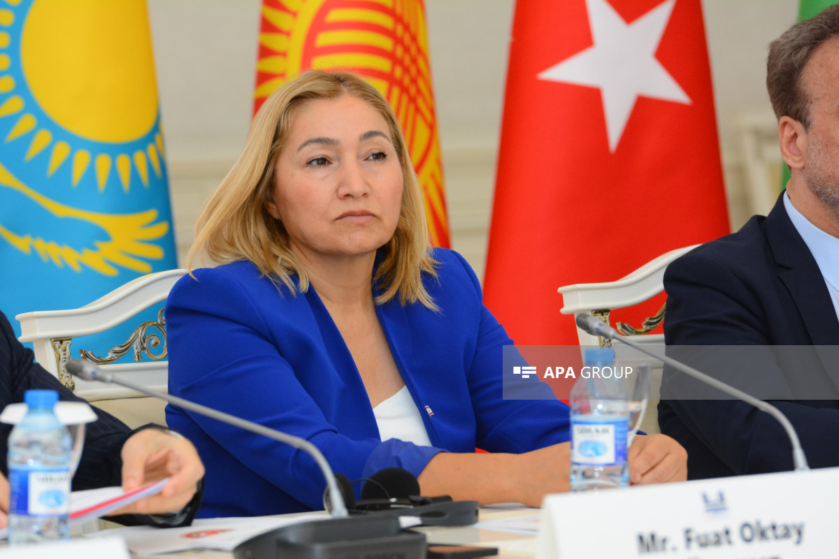 Председатель комитета: Отношение Азербайджана к Северному Кипру должно стать примером для других тюркских государств