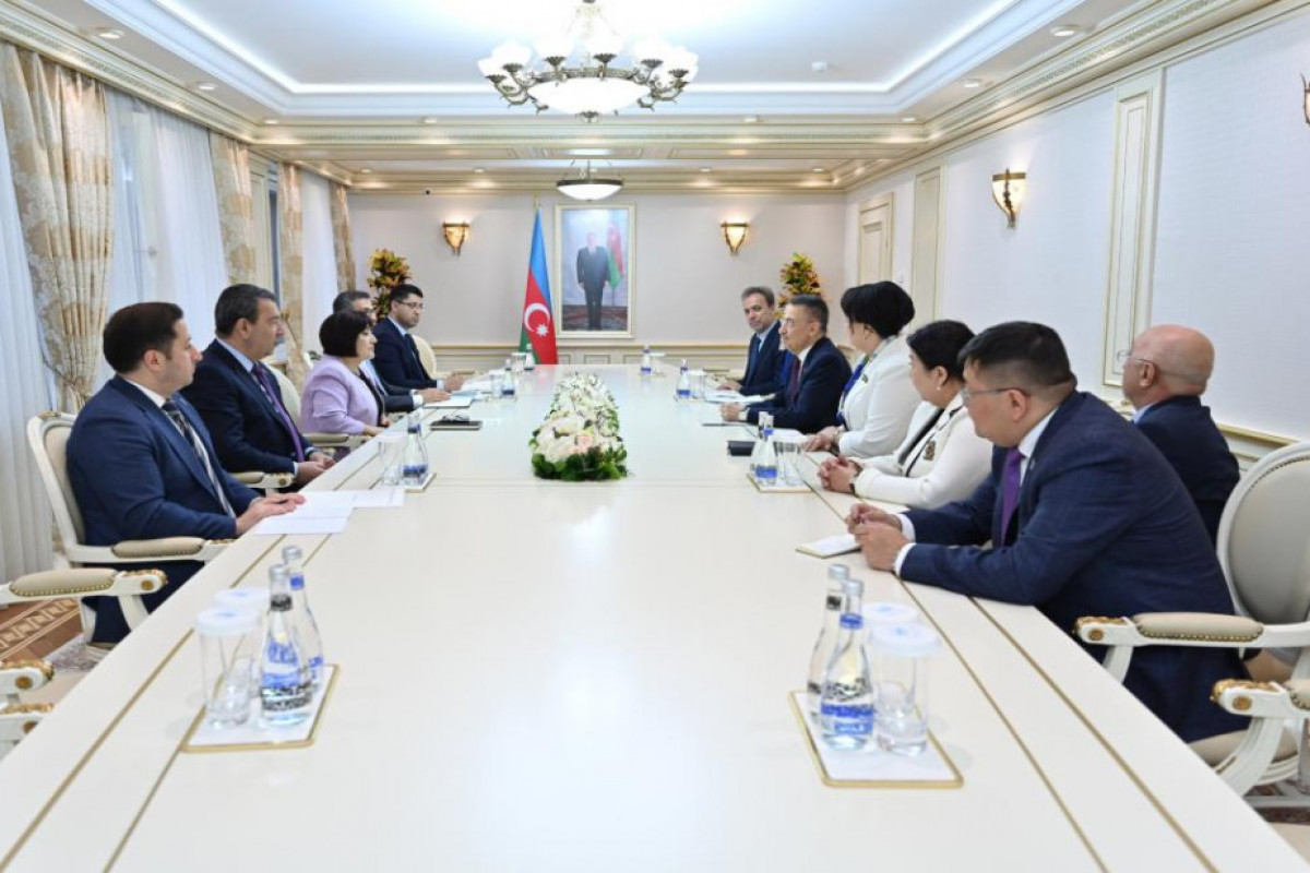 Azerbaijani Speaker meets with Parliamentary Committee Chairs of Turkic States