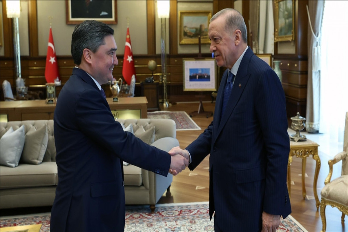 Turkish President, Kazakh premier discuss regional, global issues