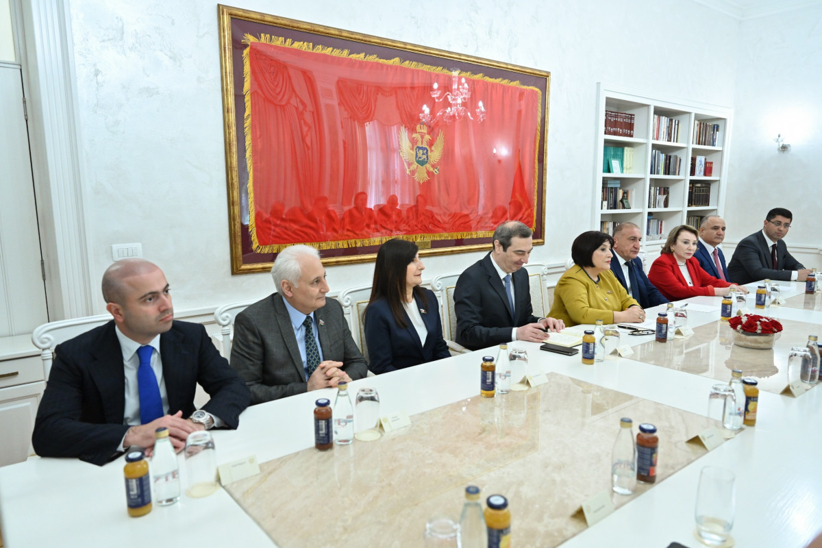 Milli Məclisin sədri Sahibə Qafarova Monteneqro Parlamentinin sədri Andrija Mandiç ilə görüşüb - FOTO 