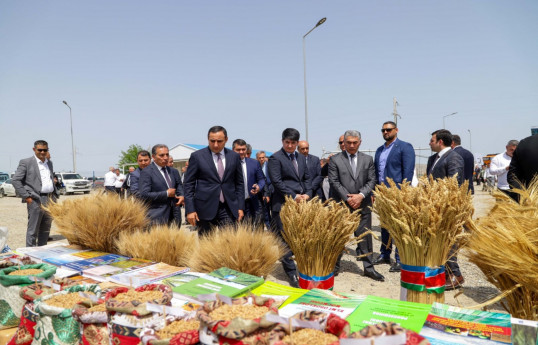 “Yaşıl dünya naminə həmrəylik ili" çərçivəsində respublika müşavirəsi keçirilib