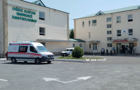 Oğuzda üzərinə ağac düşən 36 yaşlı kişi xəstəxanada vəfat edib - YENİLƏNİB 