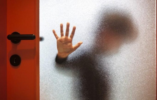 Məişət zorakılığından zərər çəkmiş  30 uşaq sosial reabilitasiya xidmətləri ilə təmin edilib