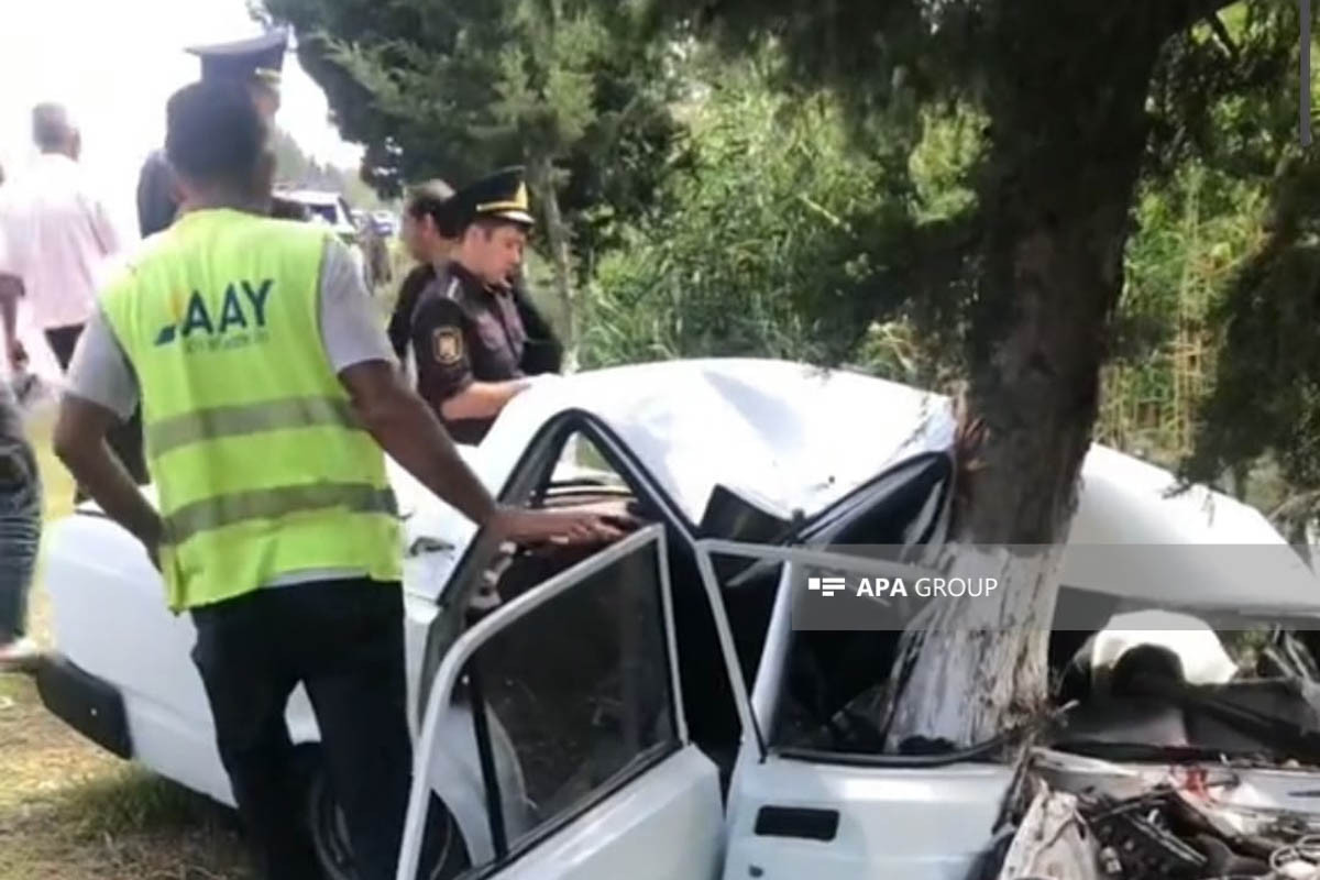 Beyləqanda avtomobil ağaca çırpılıb, sürücünün vəziyyəti ağırdır  - FOTO 