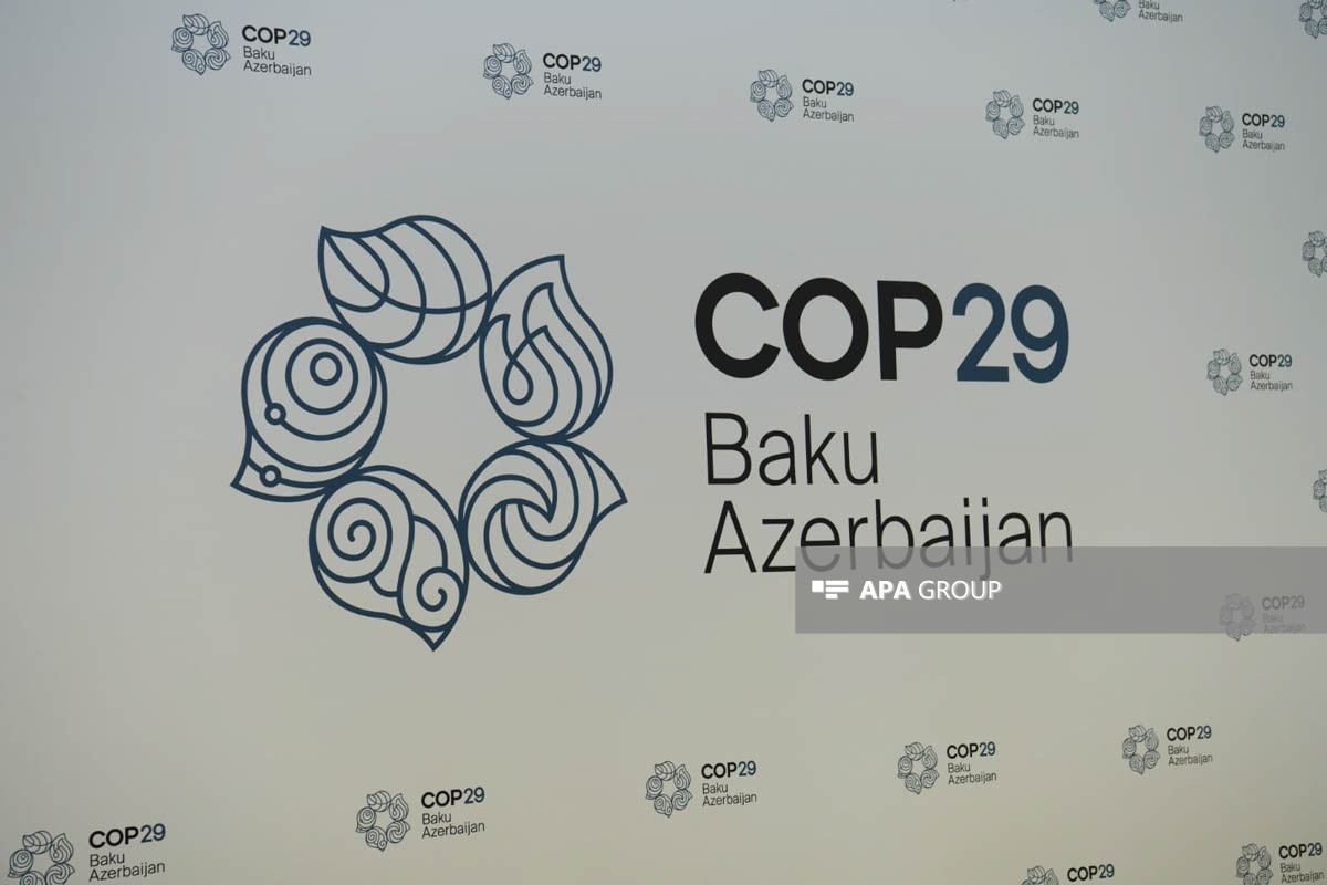 Muxtar Babayev COP29 QHT Koalisiyasının üzvləri ilə görüşəcək