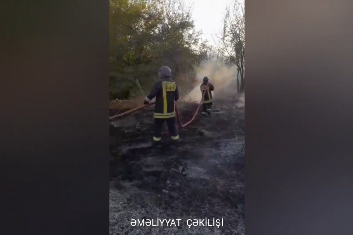 Qubadlıda 20 hektar sahədə yanğın olub, alovun genişlənməsinin qarşısı alınıb - VİDEO 