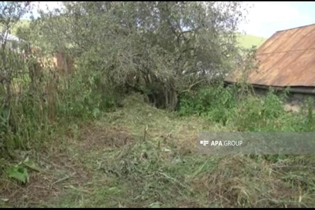 Daşkəsəndə qayınanasını balta ilə öldürən gəlinin meyiti tapılıb - FOTO 