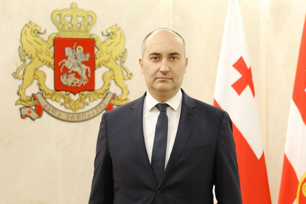 Gürcüstanın müdafiə naziri yeni hökumətdə yer almayacaq