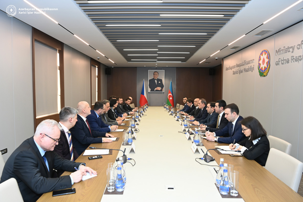 Ceyhun Bayramov Çexiya Deputatlar Palatasının sədrini qəbul edib