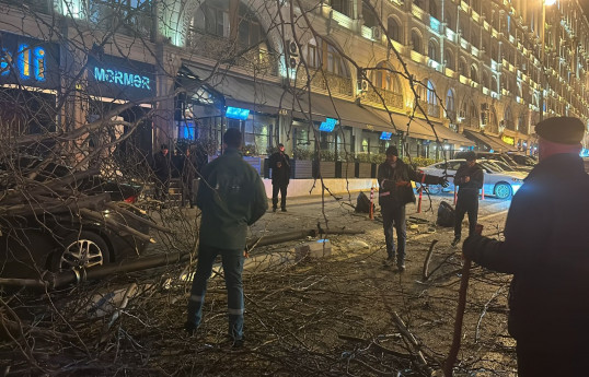Bakıda ağacın aşdığı yolda hərəkət bərpa olunub - YENİLƏNİB-1  - FOTO 