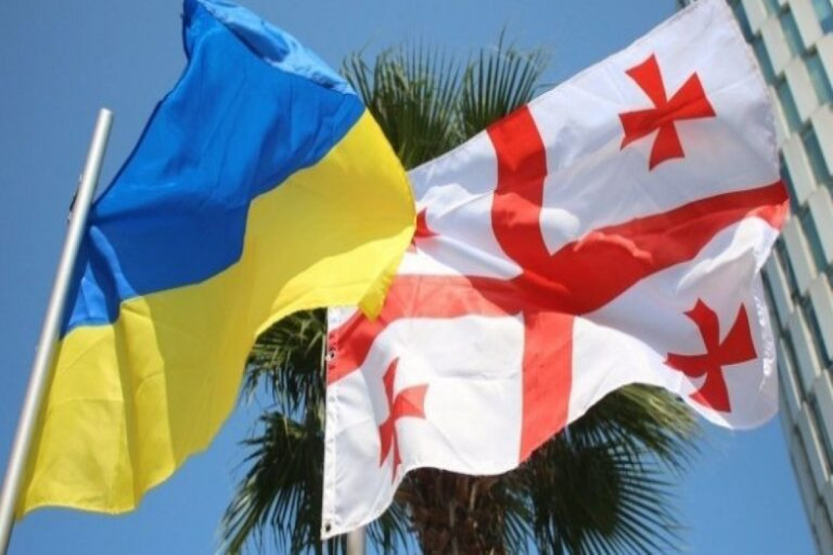 Ukrayna səfirliyi Gürcüstan DTX-nin bəyanatına münasibət bildirib