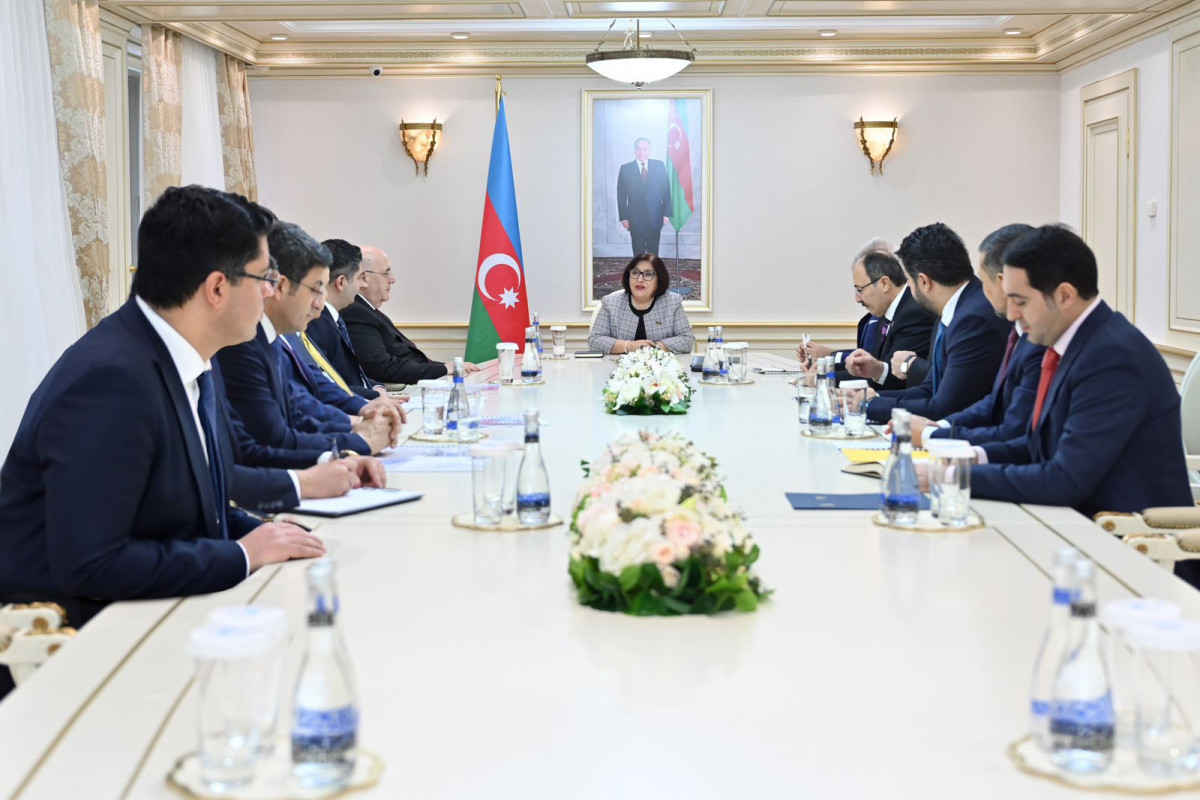TÜRKPA və TBMM müşahidə missiyaları Azərbaycanda prezident seçkilərini yüksək qiymətləndirib