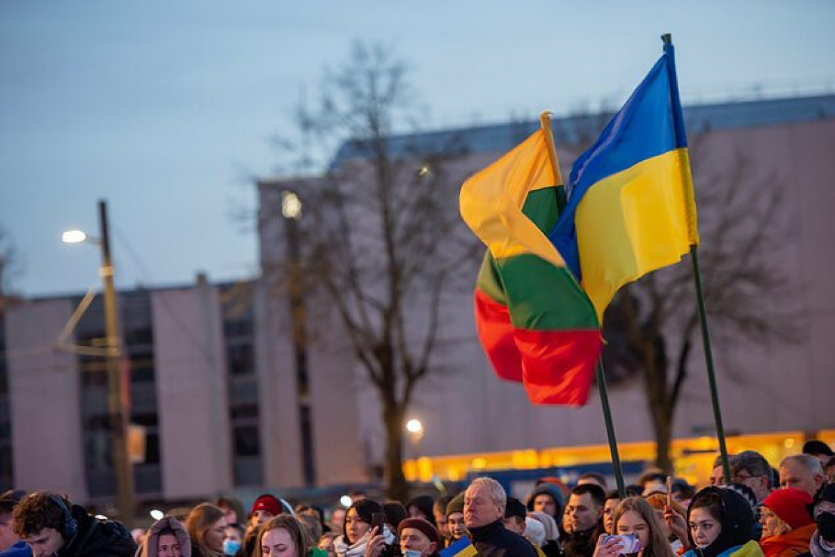 Ukrayna Litvadan hərbi yardım paketi alıb