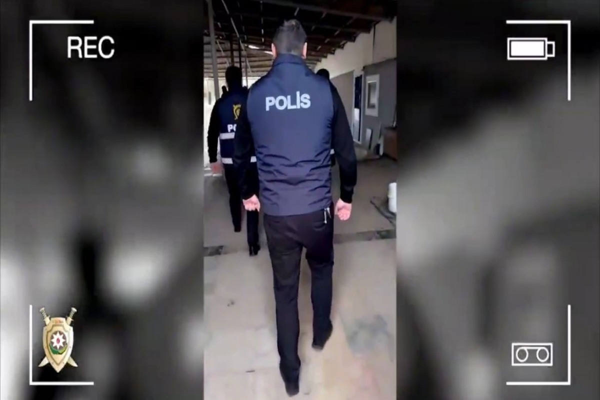Naxçıvanda 1 ton yararsız ət aşkar edilib - VİDEO 