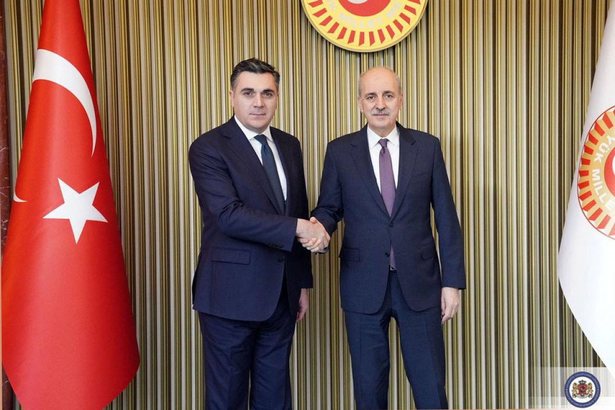 Gürcüstan və Türkiyə strateji tərəfdaşlığı müzakirə edilib