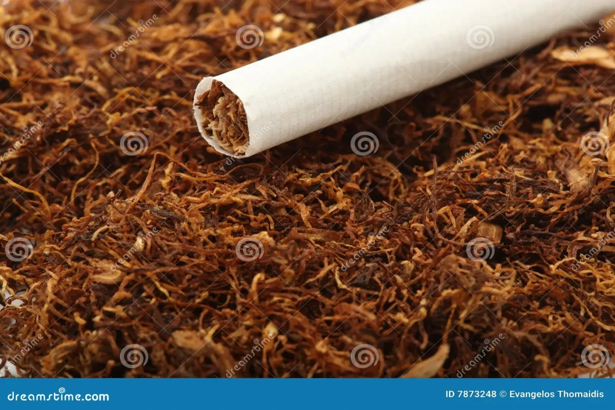 Azərbaycana idxal edilən tütün və tütün məmulatlarının dəyəri azalıb