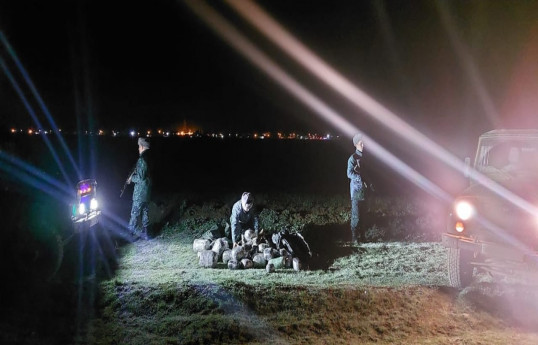 İrandan 42 kq narkotikin Azərbaycana keçirilməsinin qarşısı alınıb - FOTO 