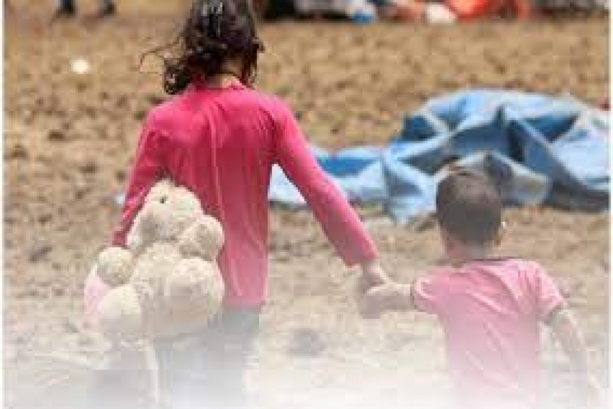 Обнародовано число детей и женщин, репатриированных в Азербайджан из Ирака и Сирии