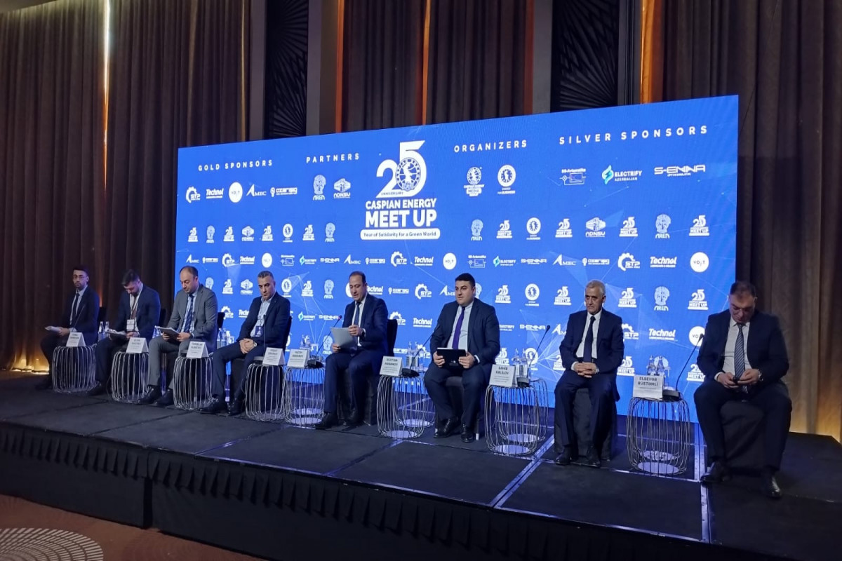 Agentlik: Azərbaycan bərpa olunan enerji sahəsində irimiqyaslı layihələrin reallaşdırılmasına başlayıb