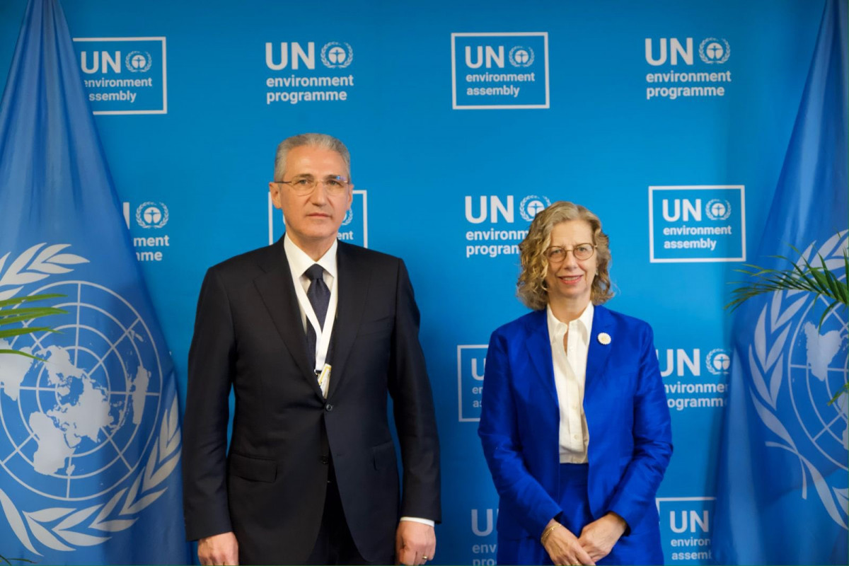 COP29: Azərbaycan-BMT iqlim dəyişikliyinə qarşı maliyyənin genişləndirilməsi müzakirə edilib