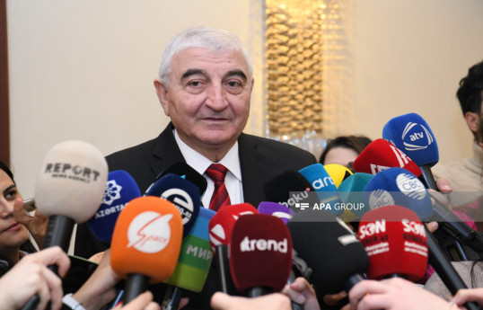 Məzahir Pənahov: Prezidentliyə namizədliyin qeydə alınması üçün 7 nəfər sənədləri təqdim edib