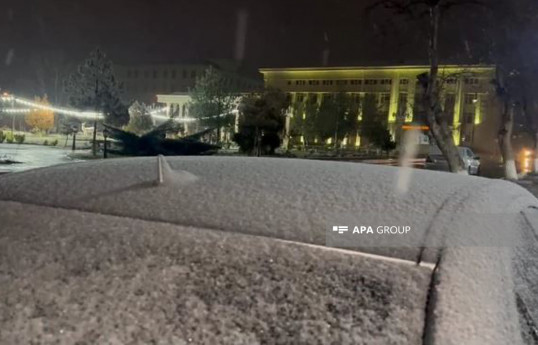 Naxçıvana ilk qar yağıb - FOTO 