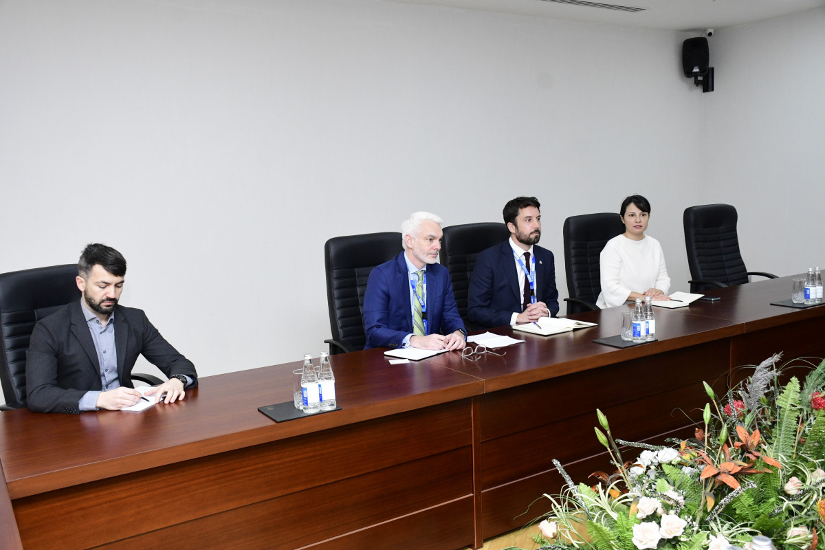 YAP-da ATƏT DTİHB Seçki Müşahidə Missiyasının rəhbəri ilə görüş keçirilib