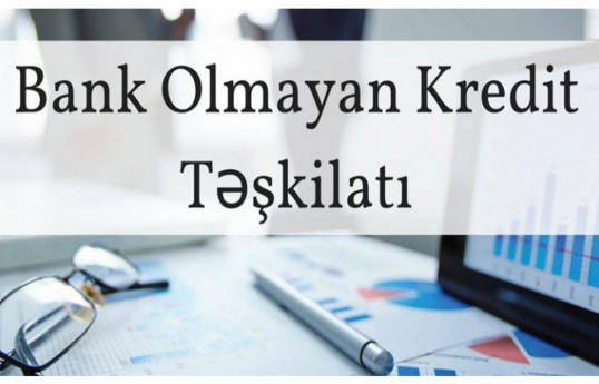 "City Finance" və "İdeal Kredit"  20 min manat cərimə edilib