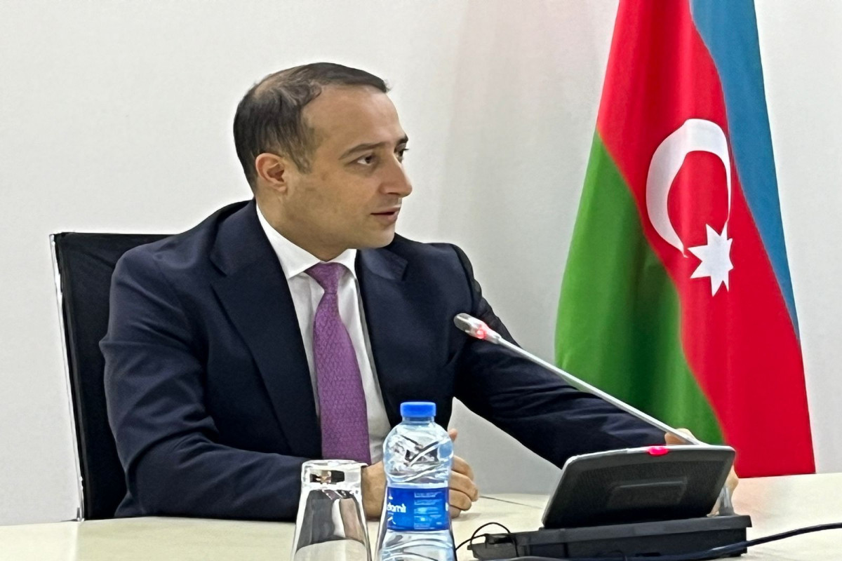 Azərbaycan dilində süni intellekt platformasının yaradılması layihəsinin icrasına başlanılıb