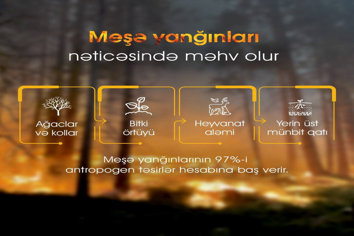 Fövqəladə Hallar, Ekologiya və Təbii Sərvətlər, Kənd Təsərrüfatı nazirlikləri əhaliyə müraciət edib