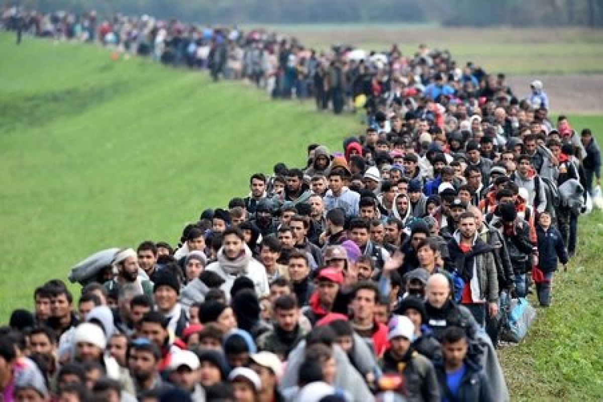 Finlandiya qaçqınların qovulması haqqında qanunu təsdiqləyib