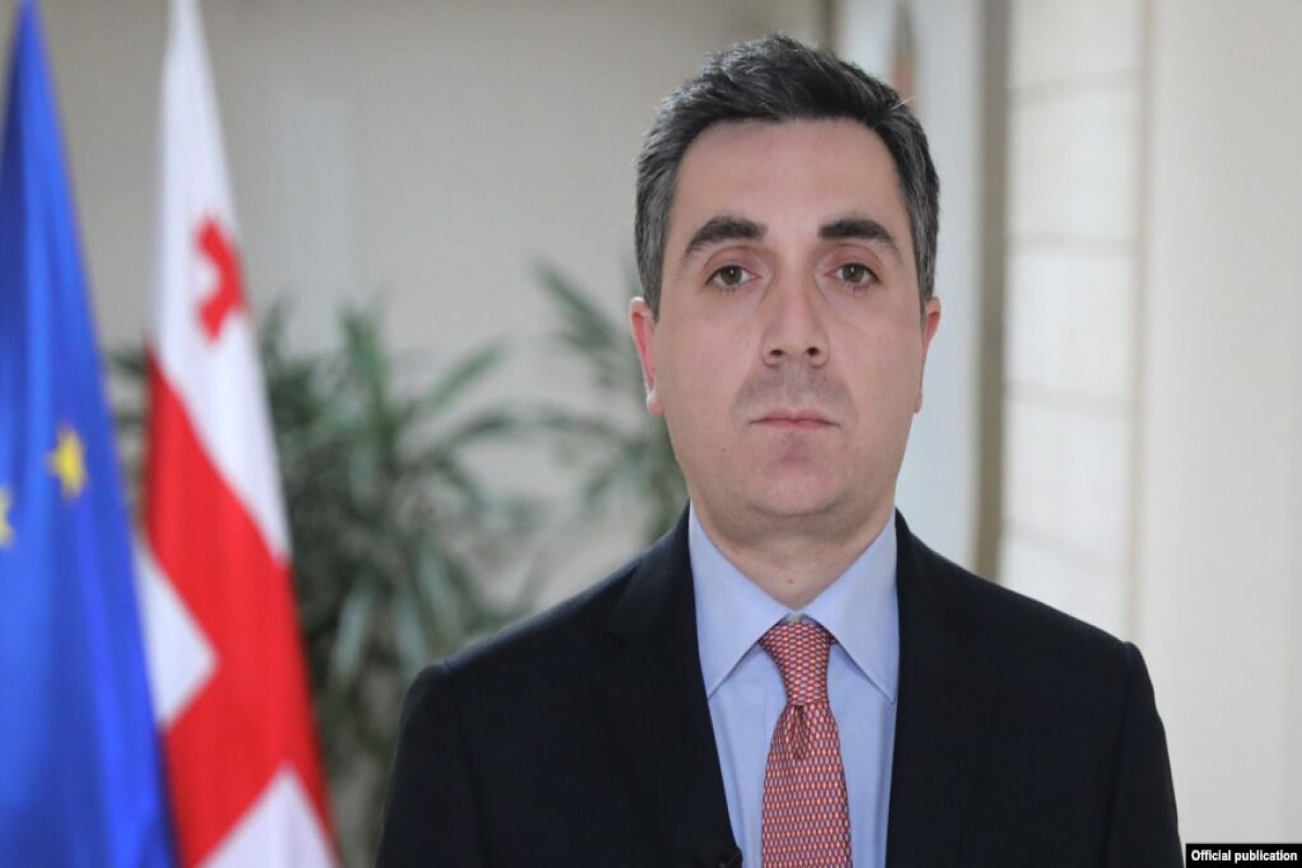 Gürcüstanın xarici işlər naziri İliya Darçiaşvili