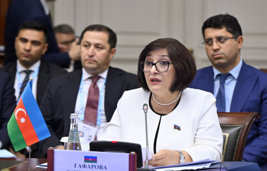 Sahibə Qafarova Sankt-Peterburqda MDB PA Şurasının iclasında iştirak edib