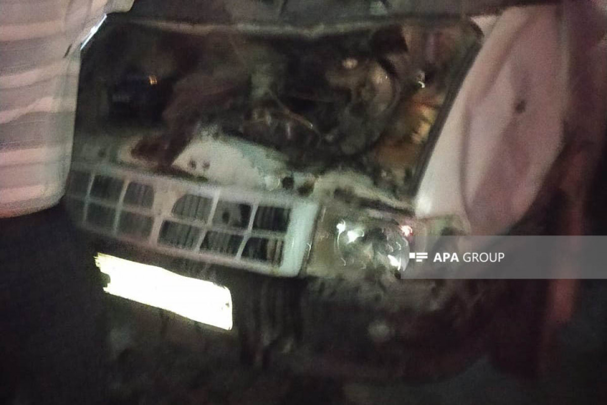 Lənkəranda yük maşını camışları vurub - FOTO  - VİDEO 