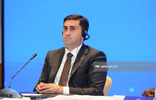 Abbas Abbasov: Fransa müstəmləkəçiliyindən əziyyət çəkən dövlətlər COP29-a dəvət olunub