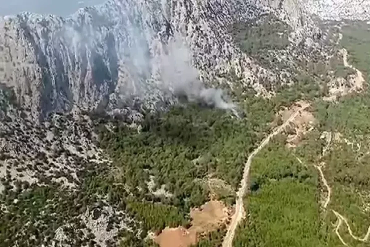 Antalya və İzmirdə meşə yanğını baş verib